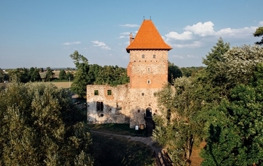 Fotografia przedstawia Ruiny Zamku w Chudowie.